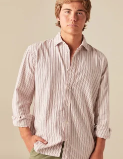 Nicoli Shirts<BROWN STRIPED SHIRT Marrones