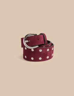 Nicoli Belts<MAROON STUDDED SUEDE BELT Grises antracitas