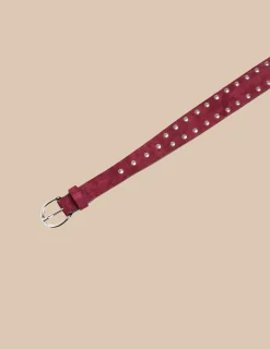 Nicoli Belts<MAROON STUDDED SUEDE BELT Grises antracitas